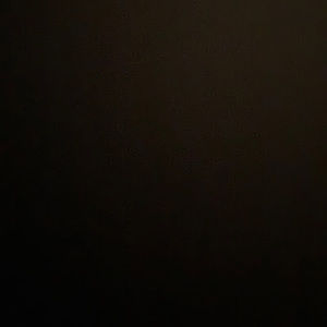 Meet your Posher, Gen